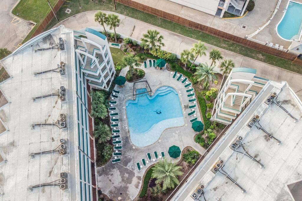 Apartament The Happy Seahorse Galveston Zewnętrze zdjęcie