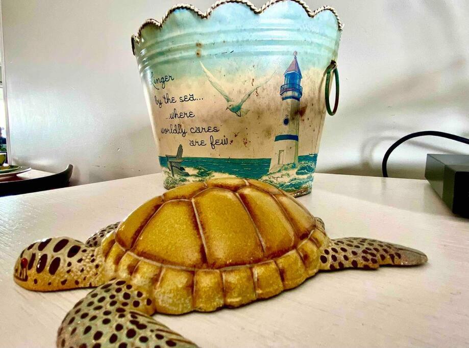 Apartament The Happy Seahorse Galveston Zewnętrze zdjęcie